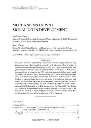 Mechanisms of Wnt Signaling in Development