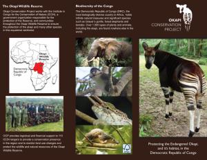 Protecting the Endangered Okapi, and It's Habitat, in the Democratic