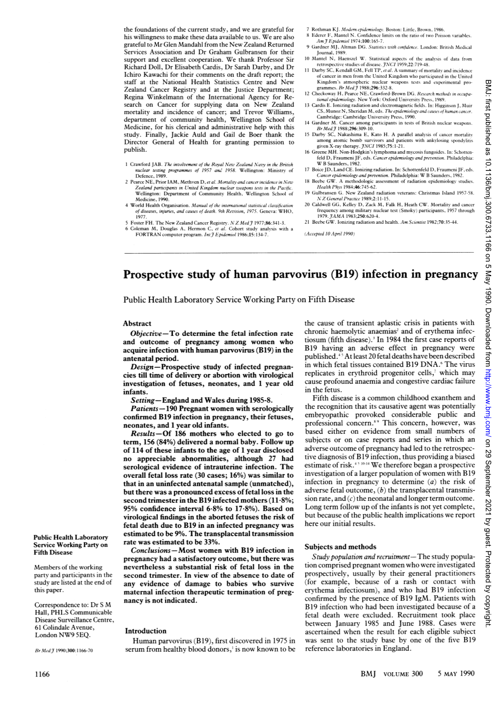 (B19) Infection in Pregnancy