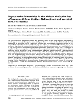Reproductive Hierarchies in the African Allodapine Bee Allodapula Dichroa (Apidae; Xylocopinae) and Ancestral Forms of Sociality