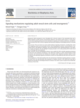 Signaling Mechanisms Regulating Adult Neural Stem Cells and Neurogenesis☆