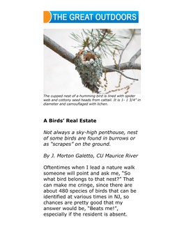 A Birds Real Estate Nests