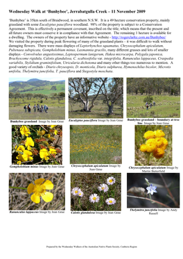 Wednesday Walk at 'Bunhybee', Jerrabatgulla Creek – 11 November