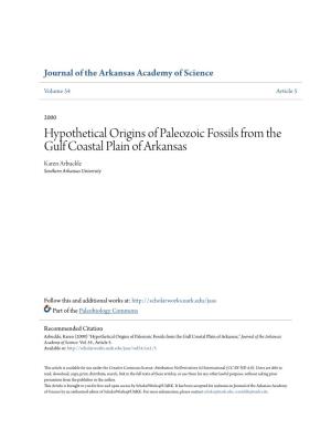 Hypothetical Origins of Paleozoic Fossils from the Gulf Coastal Plain of Arkansas Karen Arbuckle Southern Arkansas University