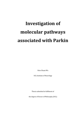 Investigation of Parkin Molecular Pathways