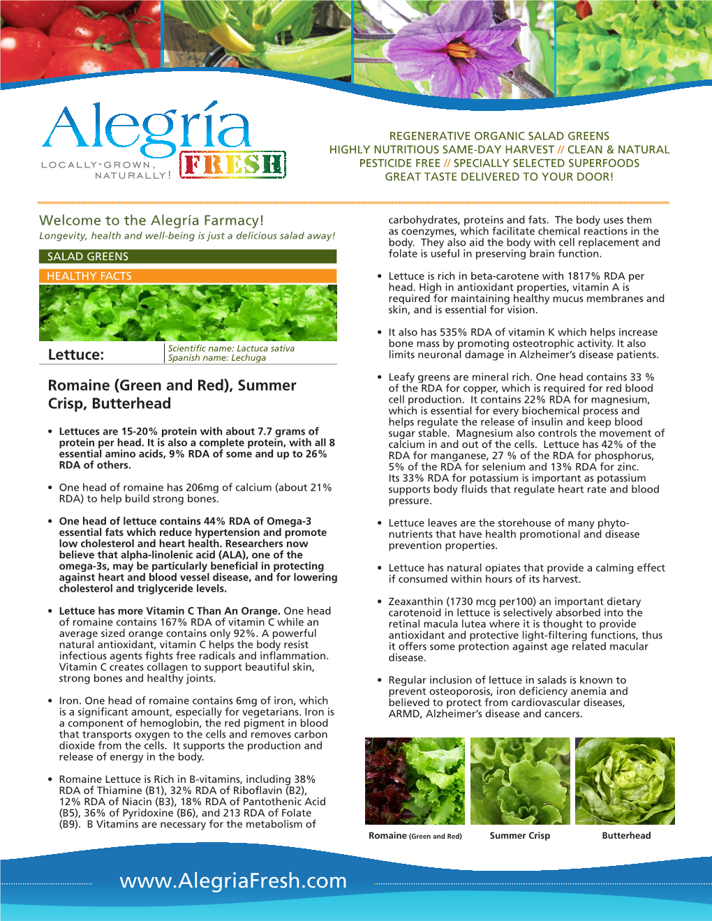 Alegriafarmfactsheets-Saladgreens