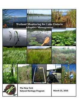 Wetland Monitoring for Lake Ontario Adaptive Management