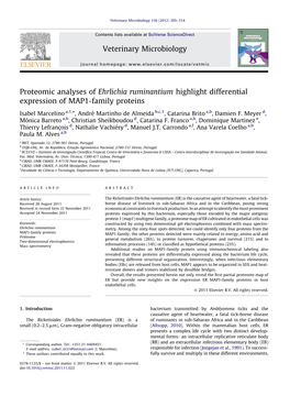 Veterinary Microbiology 156 (2012) 305–314