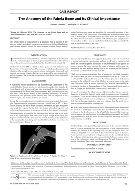 The Anatomy of the Fabela Bone and Its Clinical Importance