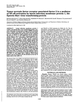 Epstein-Barr Virus Transforming Protein KENNETH M