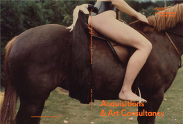 Acquisitions & Art Consultancy
