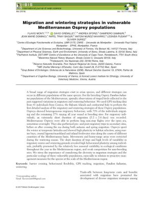 Migration and Wintering Strategies in Vulnerable Mediterranean Osprey Populations