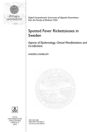 Spotted Fever Rickettsioses in Sweden