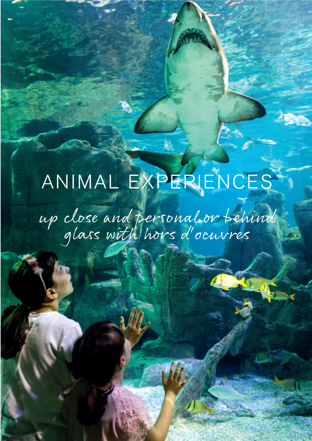 ANIMAL EXPERIENCES up Close and Personal Or Behind Glass with Hors D'oeuvres
