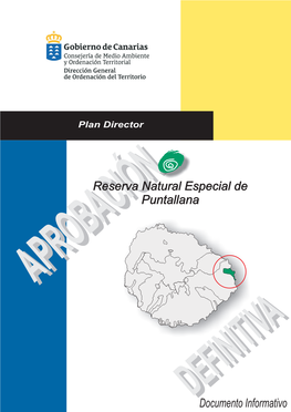 Documento Informativo RESERVA NATURAL ESPECIAL DE PUNTALLANA PLAN DIRECTOR
