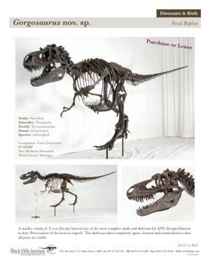 Gorgosaurus Nov. Sp