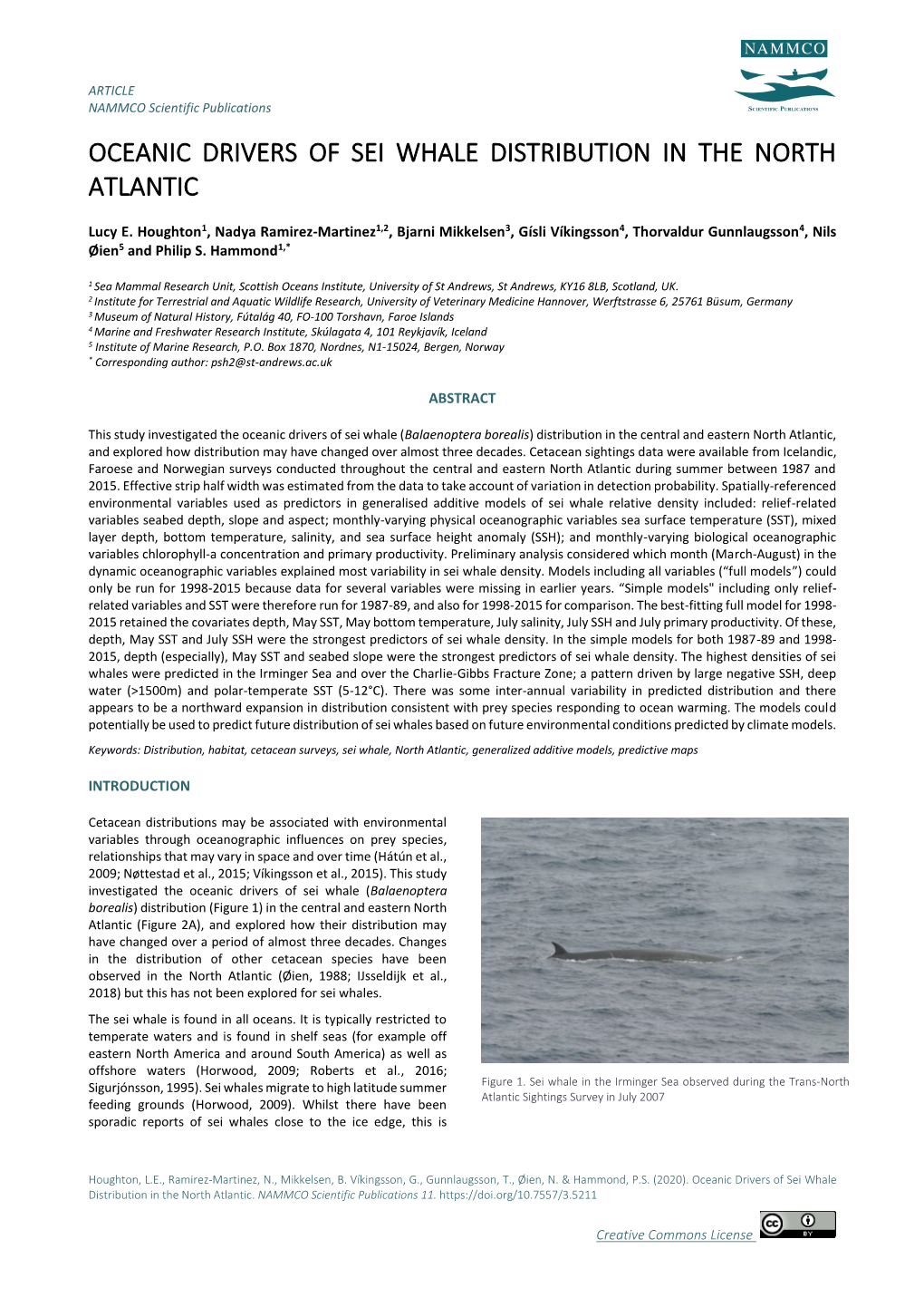 Oceanic Drivers of Sei Whale Distribution in the North Atlantic