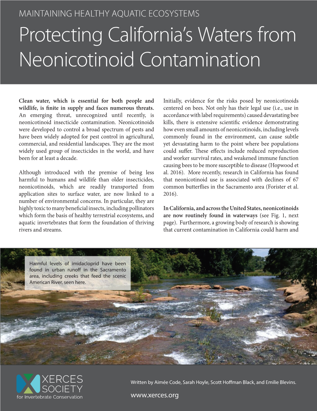 Protecting California's Waters from Neonicotinoid Contamination