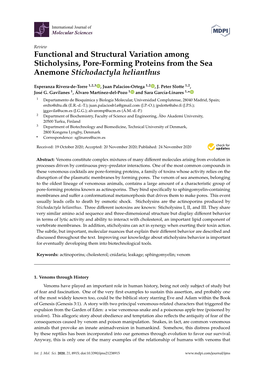 Functional and Structural Variation Among Sticholysins, Pore-Forming Proteins from the Sea Anemone Stichodactyla Helianthus