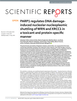 PARP1 Regulates DNA Damage-Induced Nucleolar-Nucleoplasmic Shuttling of WRN and XRCC1 in a Toxicant and Protein-Specific Manner