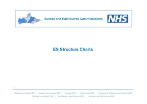 ES Structure Charts
