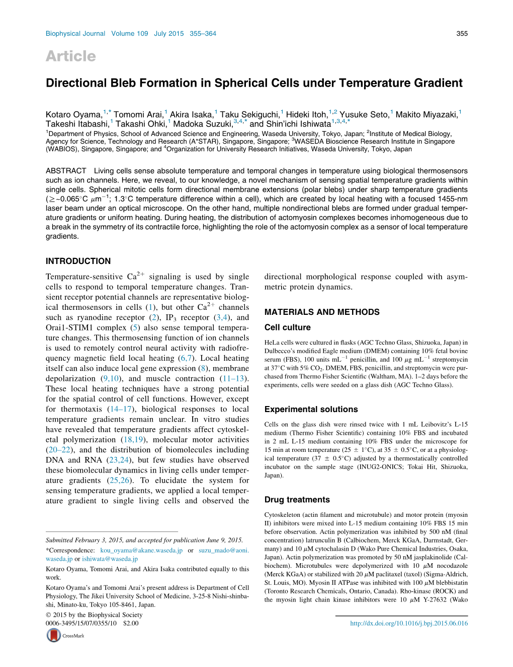 Directional Bleb Formation in Spherical Cells Under Temperature Gradient