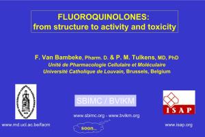 FLUOROQUINOLONES: from Structure to Activity and Toxicity