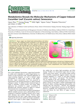 Metabolomics Reveals the Molecular Mechanisms of Copper Induced
