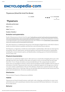 Thysanura (Silverfish and Fire Brats) | Encyclopedia.Com