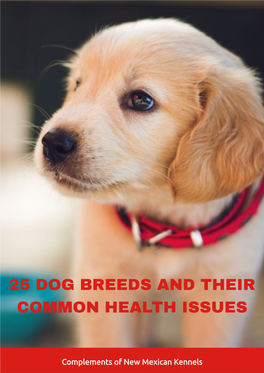 25 Dog Breeds and Their Common Health Problems