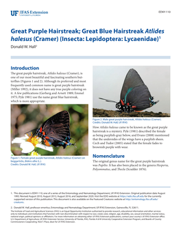 Great Blue Hairstreak Atlides Halesus (Cramer) (Insecta: Lepidoptera: Lycaenidae)1 Donald W