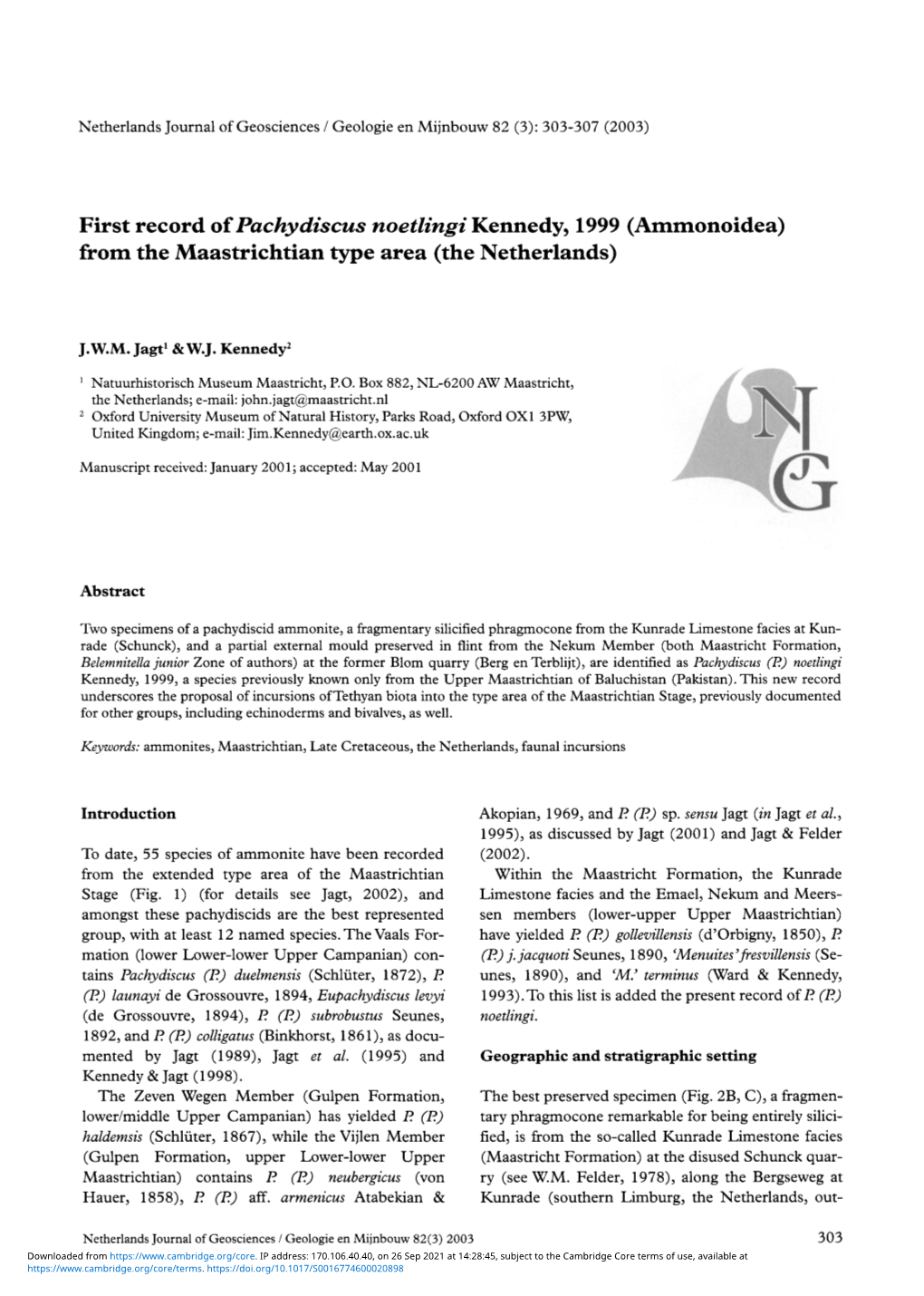 First Record of Pachy Discus Noetlingi Kennedy, 1999 (Ammonoidea) from the Maastrichtian Type Area (The Netherlands)