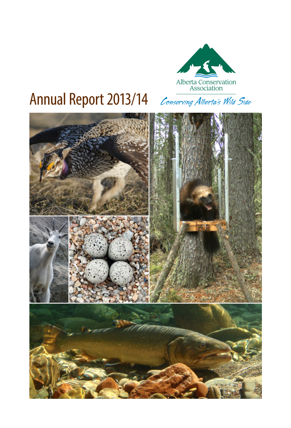 Annual Report 2013/14 2013/14 Snapshot
