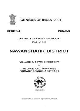 Village and Townwise Primary Census Abstract, Nawanshahr