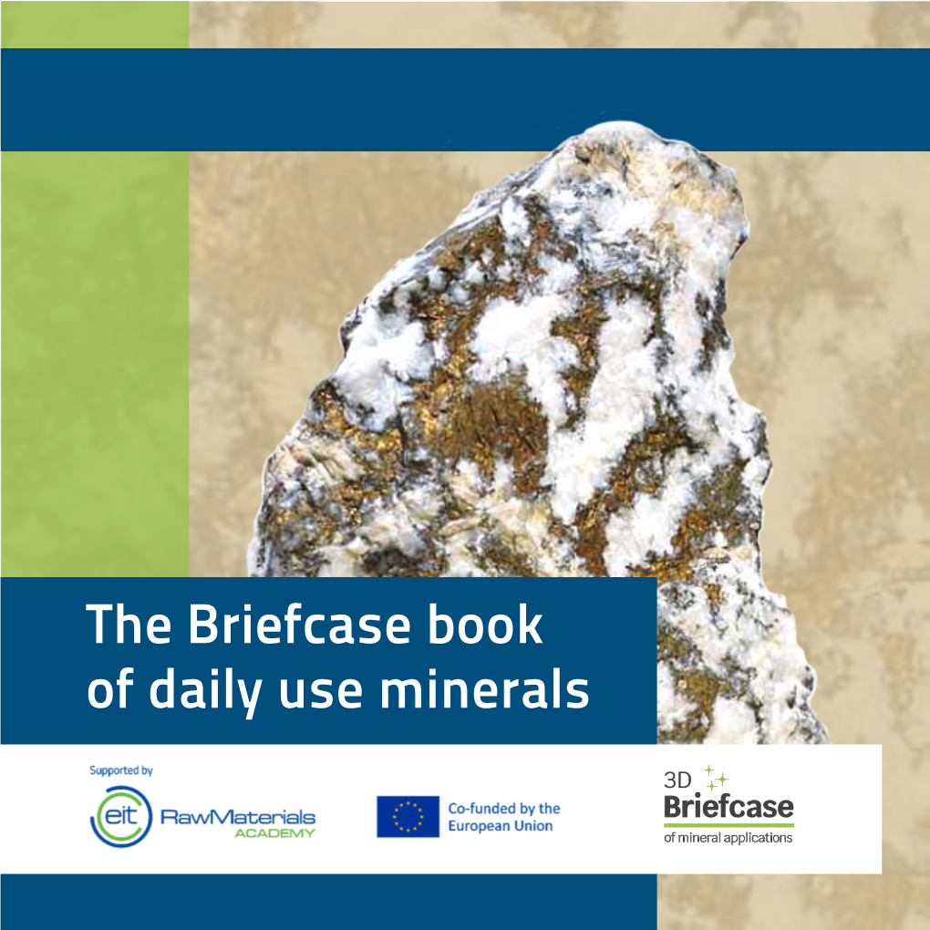 Book of Daily Use Minerals FOREWORD