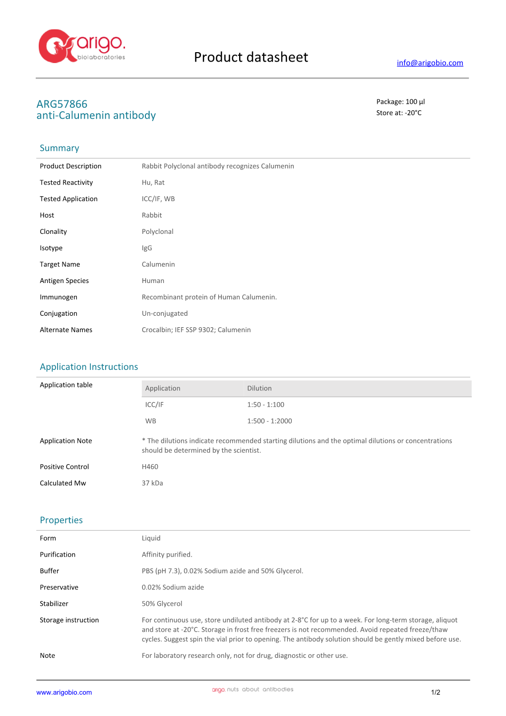 Anti-Calumenin Antibody (ARG57866)