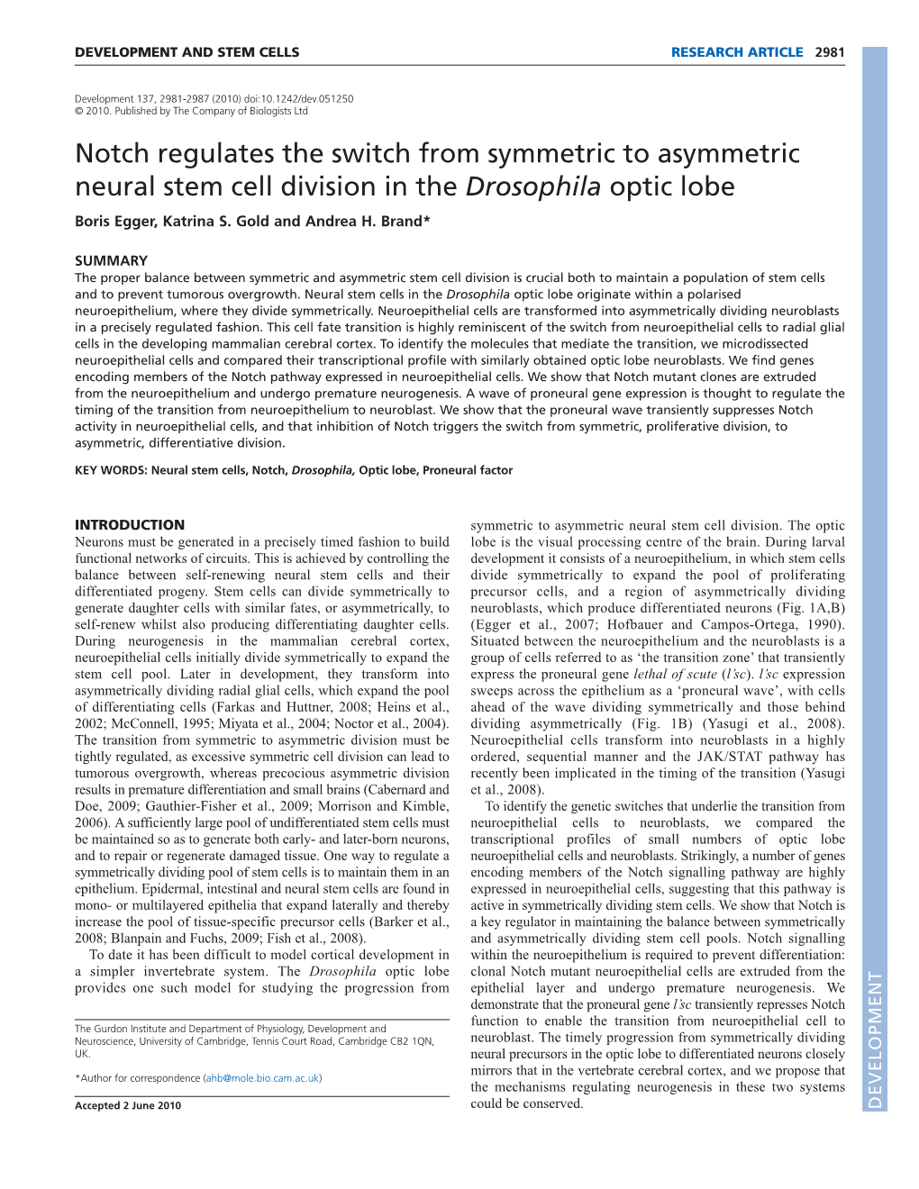 Notch Regulates the Switch from Symmetric to Asymmetric Neural Stem Cell Division in the Drosophila Optic Lobe Boris Egger, Katrina S