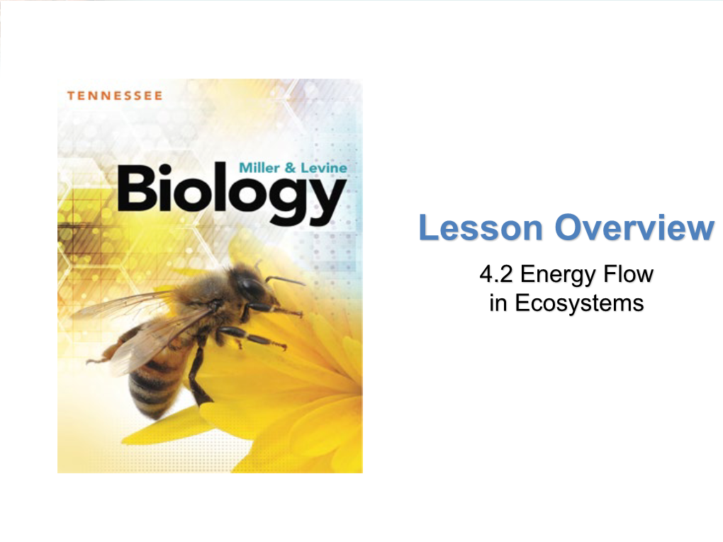 4.2 Energy Flow In Ecosystems Lesson Overview Energy Flow In Ecosystems ...