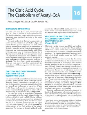 The Citric Acid Cycle: the Catabolism of Acetyl-Coa 16