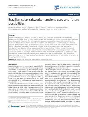 Brazilian Solar Saltworks