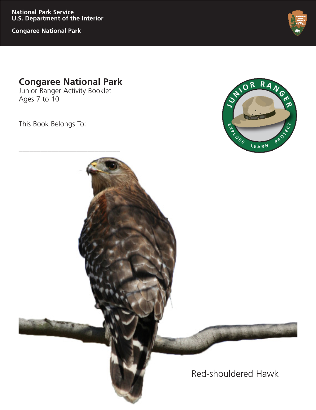 Congaree National Park Red-Shouldered Hawk