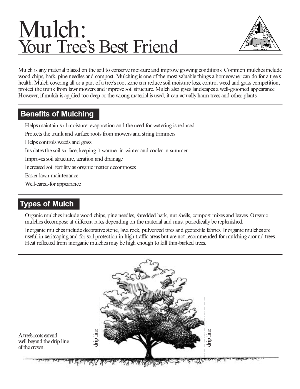 Mulch: Your Tree’S Best Friend