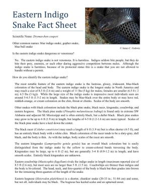 Eastern Indigo Snake Fact Sheet