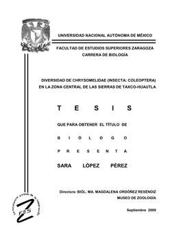 Tesis Digitales Restricciones De Uso