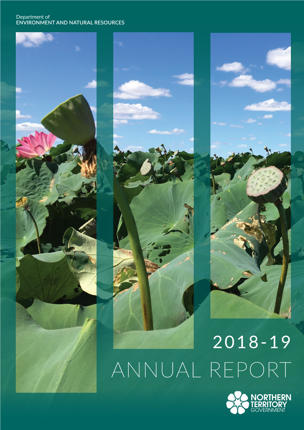 DENR Annual Report 2018-19