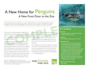 A New Home for Penguins a New Front Door to the Zoo