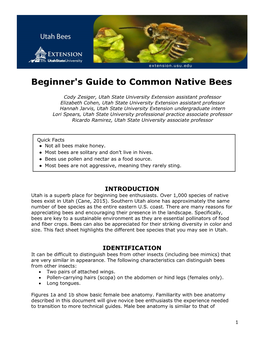 Beginner's Guide to Common Native Bees