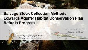 Salvage Stock Collection Methods Edwards Aquifer Habitat Conservation Plan Refugia Program