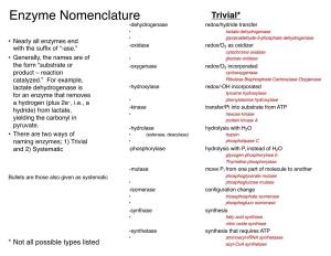 Enzyme Nomenclature