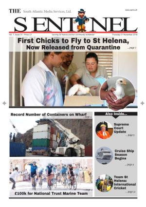 First Chicks to Fly to St Helena, Now Released from Quarantine